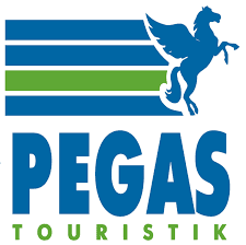 company's logo