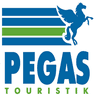 Company name