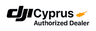 Company name