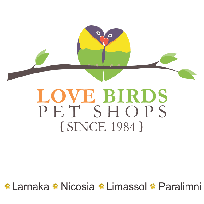 company's logo