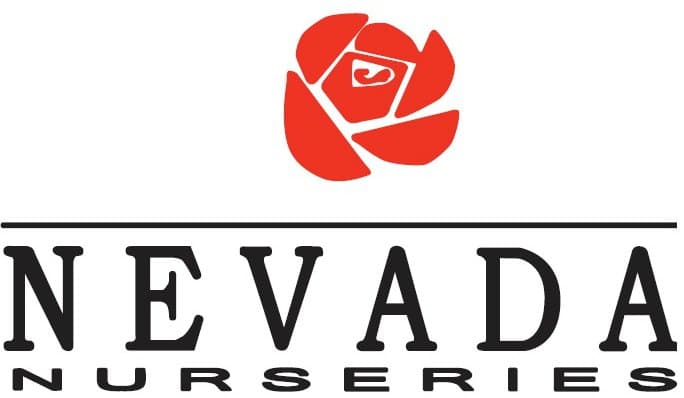 company's logo