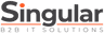 Singular Computer Systems Ltd