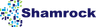 Company name