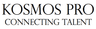 Company name