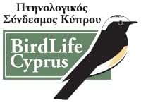 company's logo