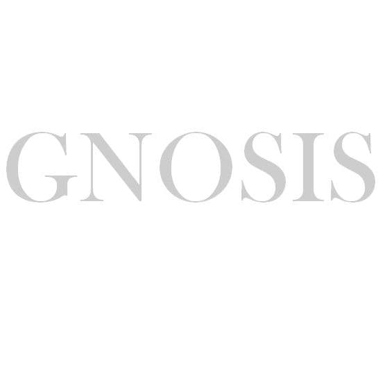 company's logo