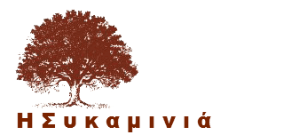 company's logo