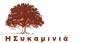 Company name