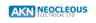 Company name