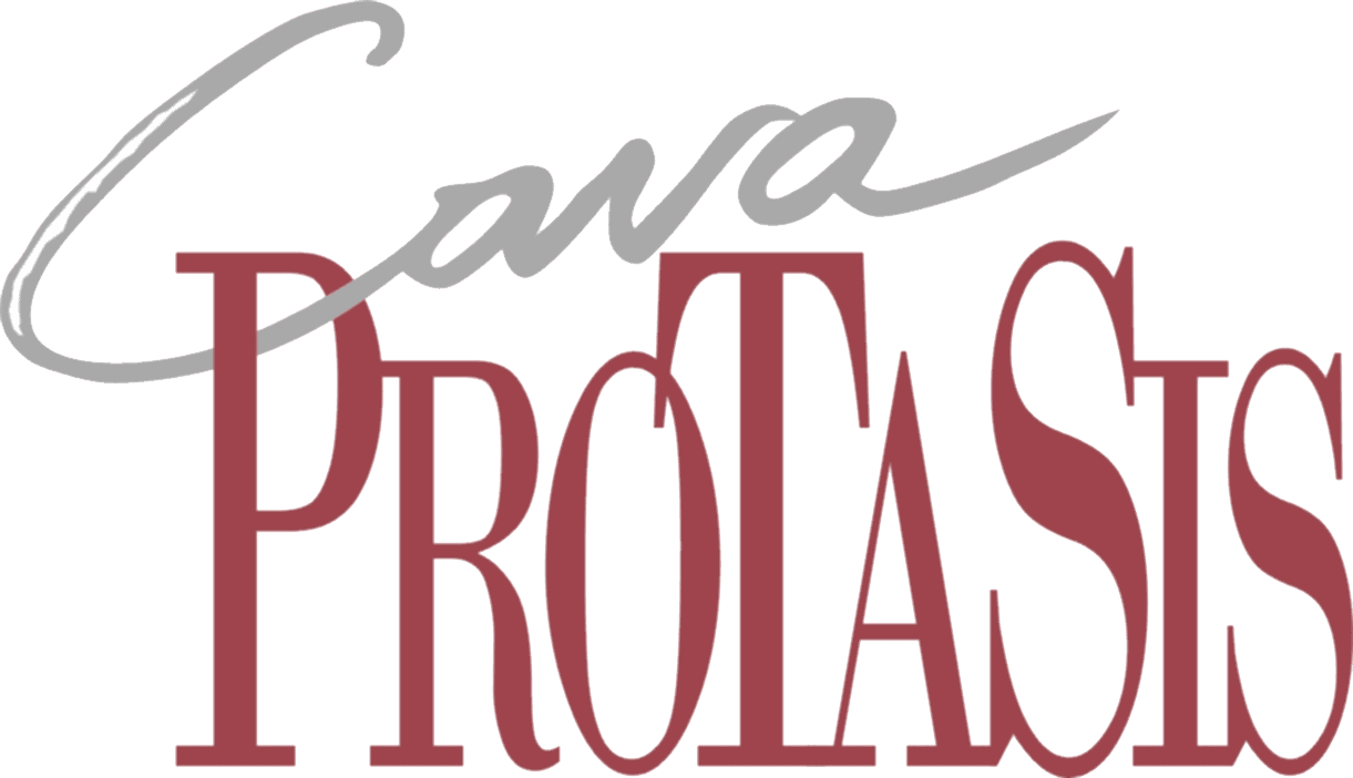 company's logo