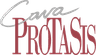 Company name
