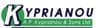 Company name