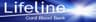Company name