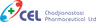 Company name