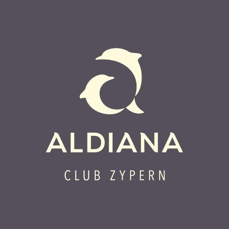 company's logo