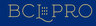 Company name
