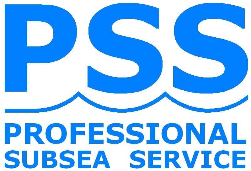 company's logo