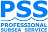 Company name