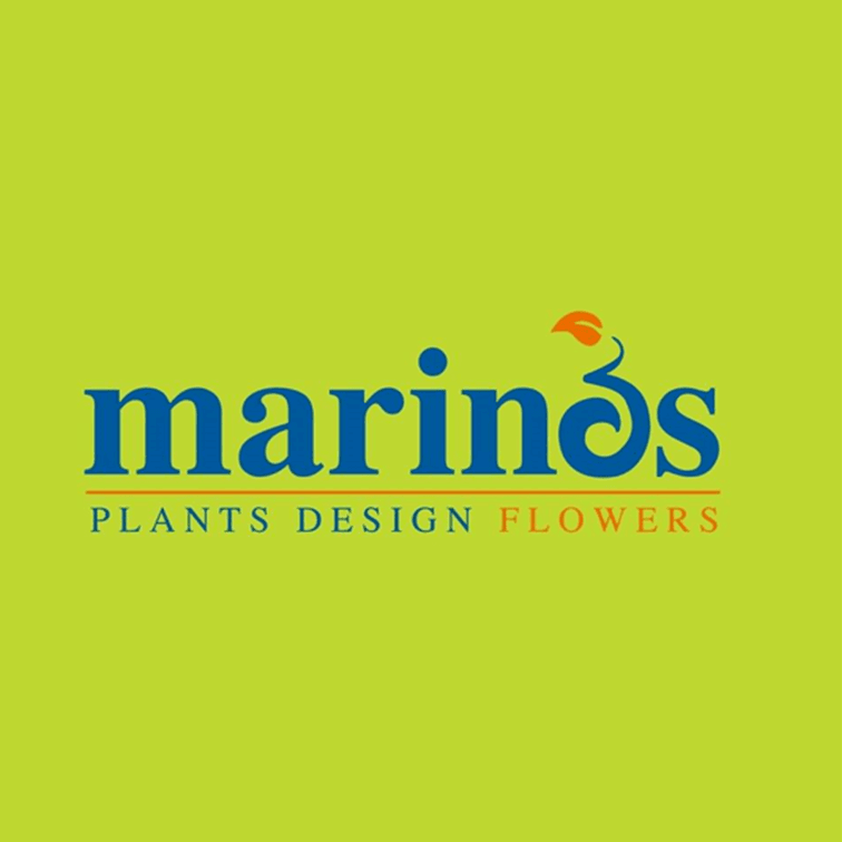 company's logo