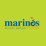 Company name