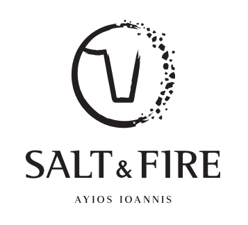company's logo