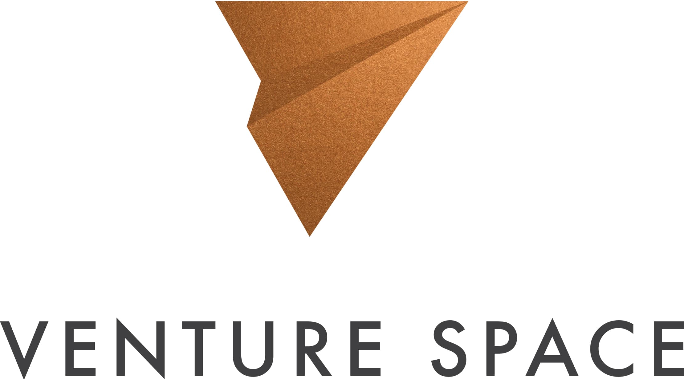 company's logo