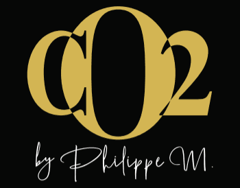 company's logo