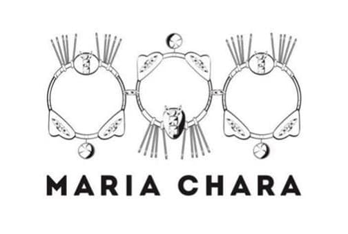 company's logo