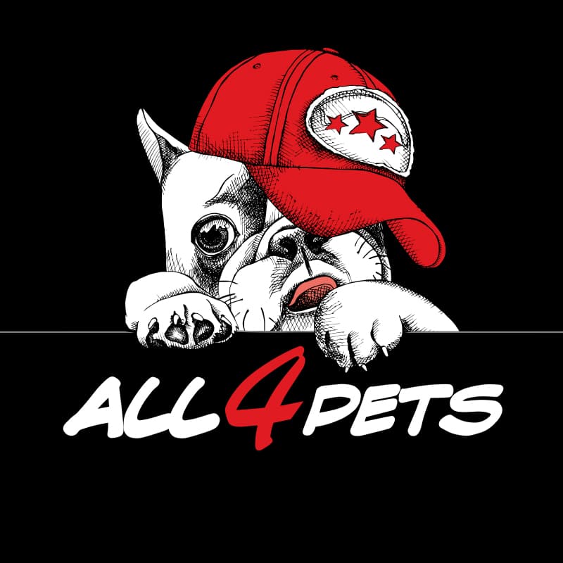 company's logo