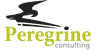 Company name
