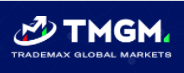 company's logo