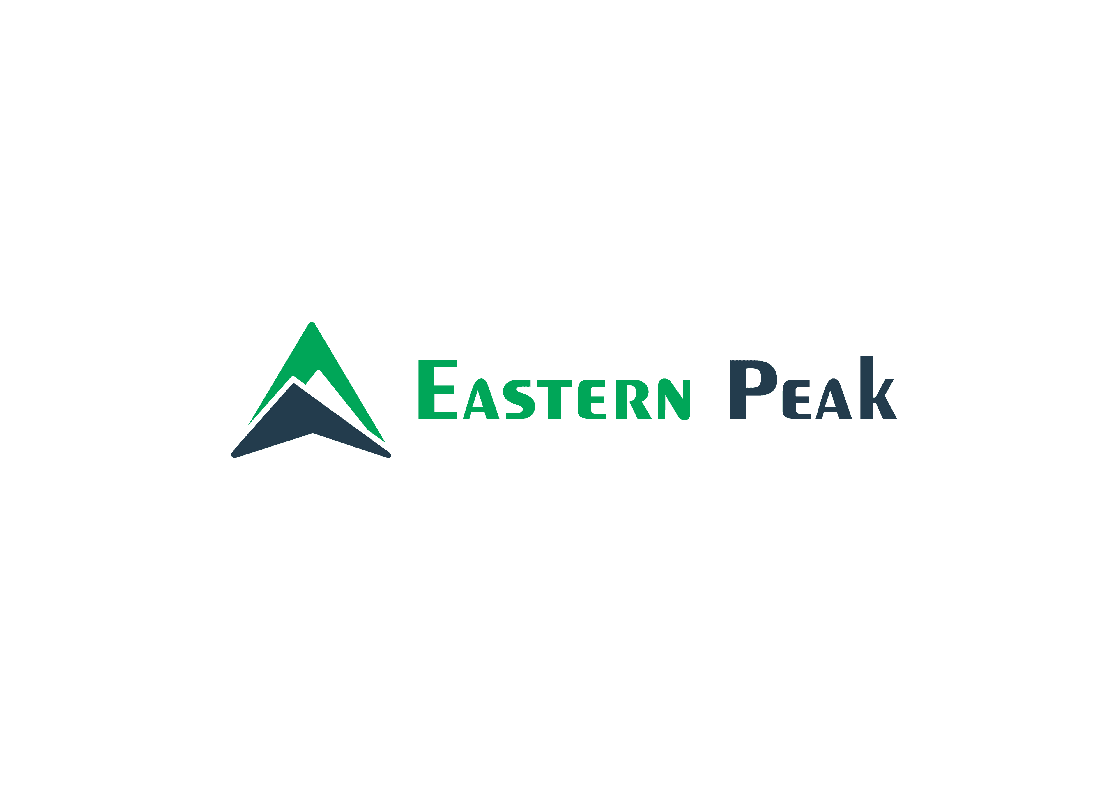 company's logo