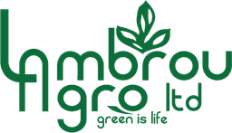 Company image