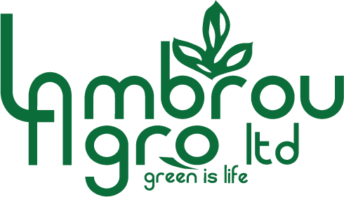 company's logo