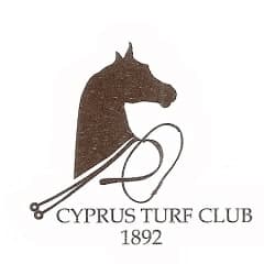 company's logo