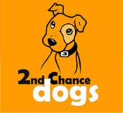 company's logo