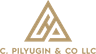Company name