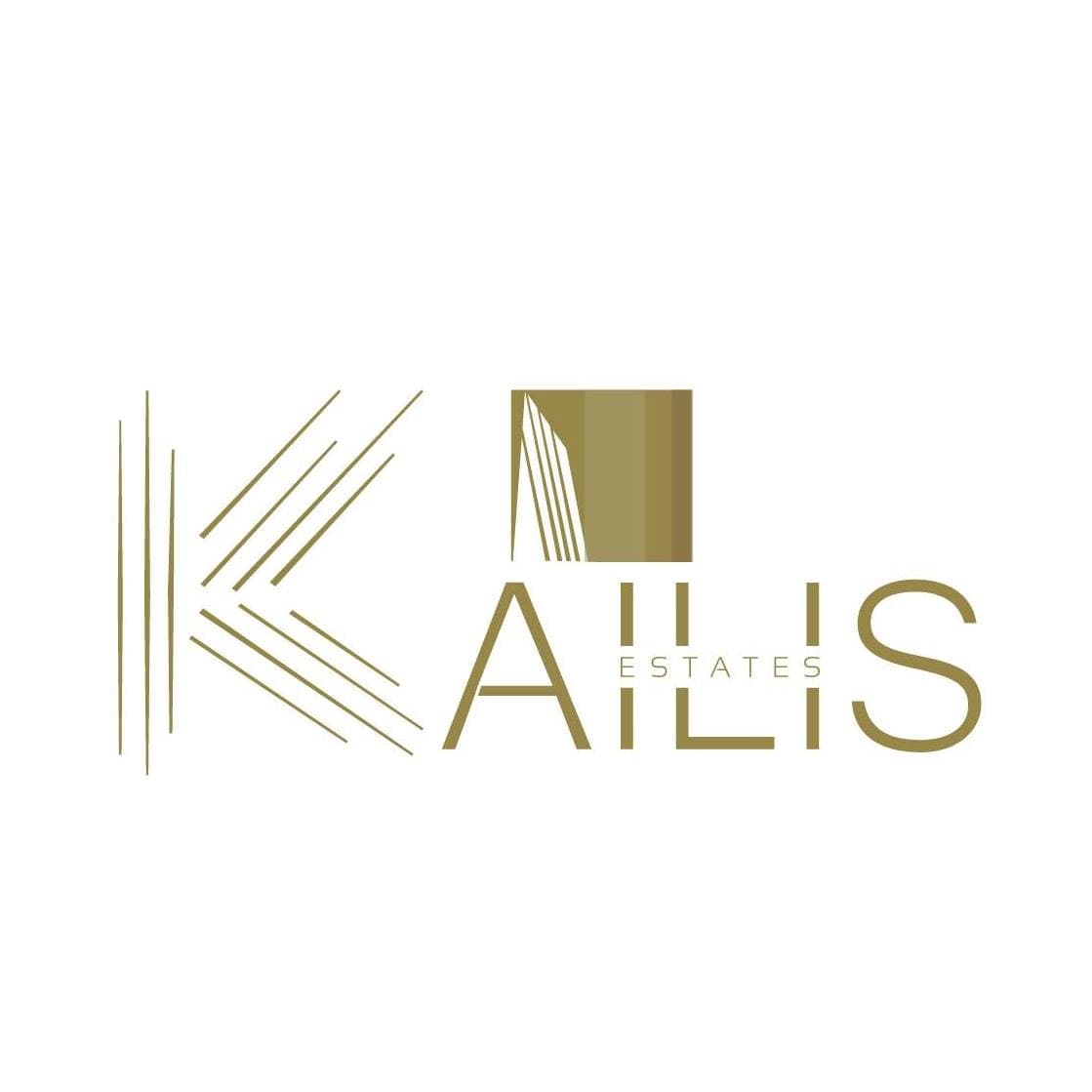 company's logo