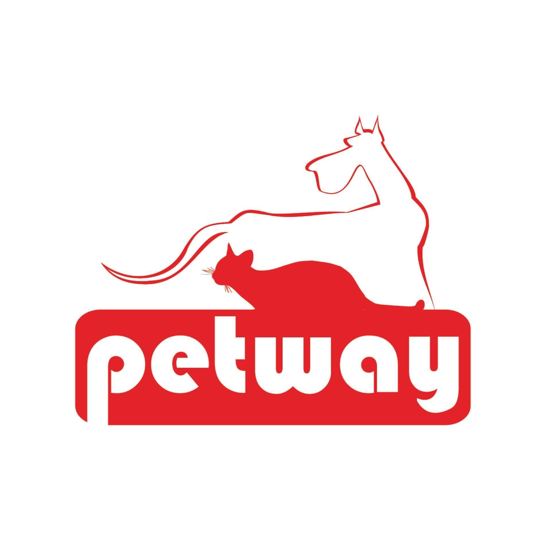 company's logo