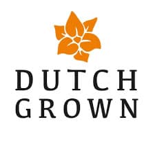 Company image