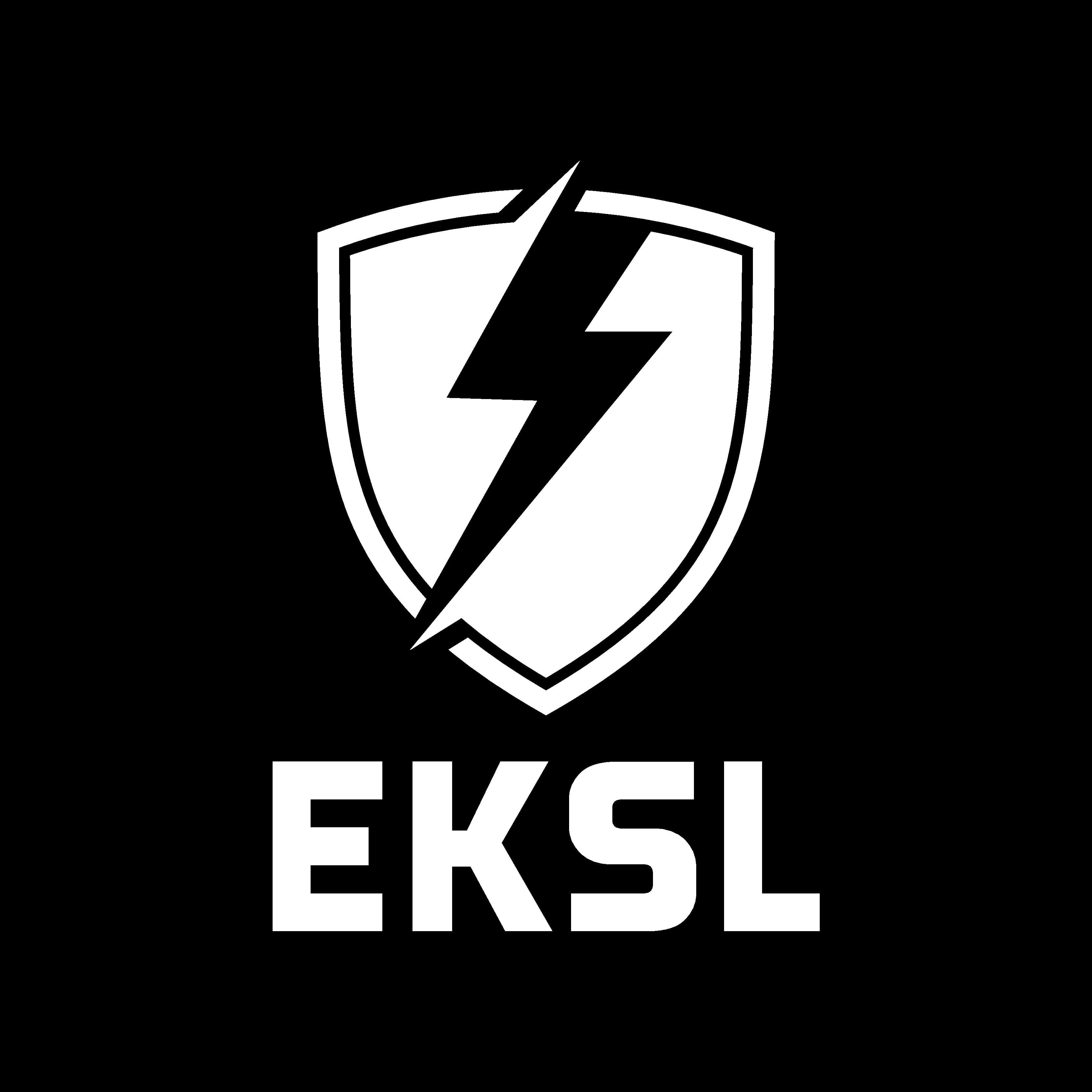 company's logo