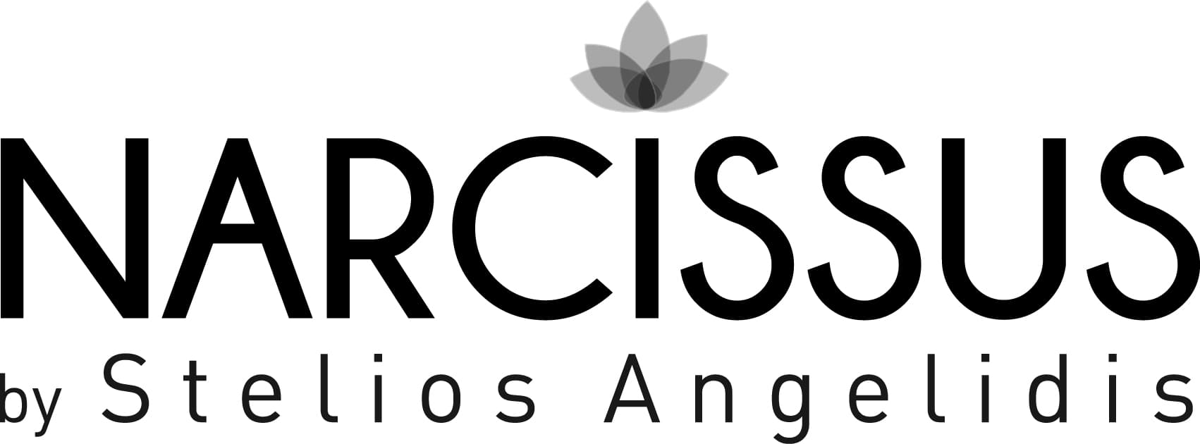 company's logo