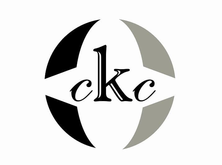 company's logo