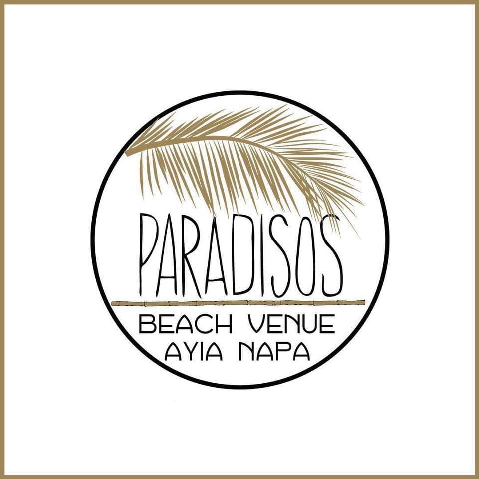 company's logo