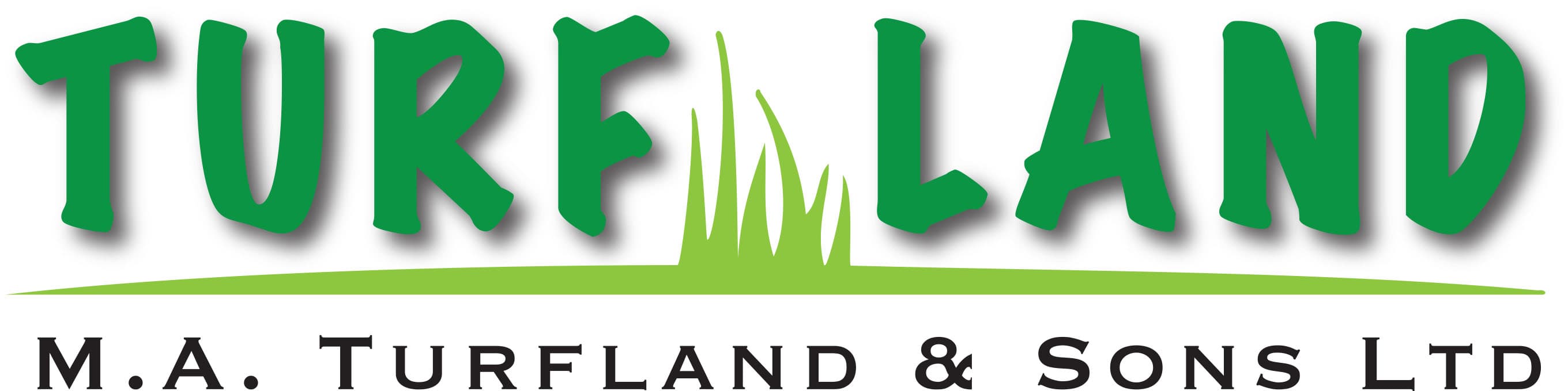 company's logo