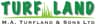 Company name