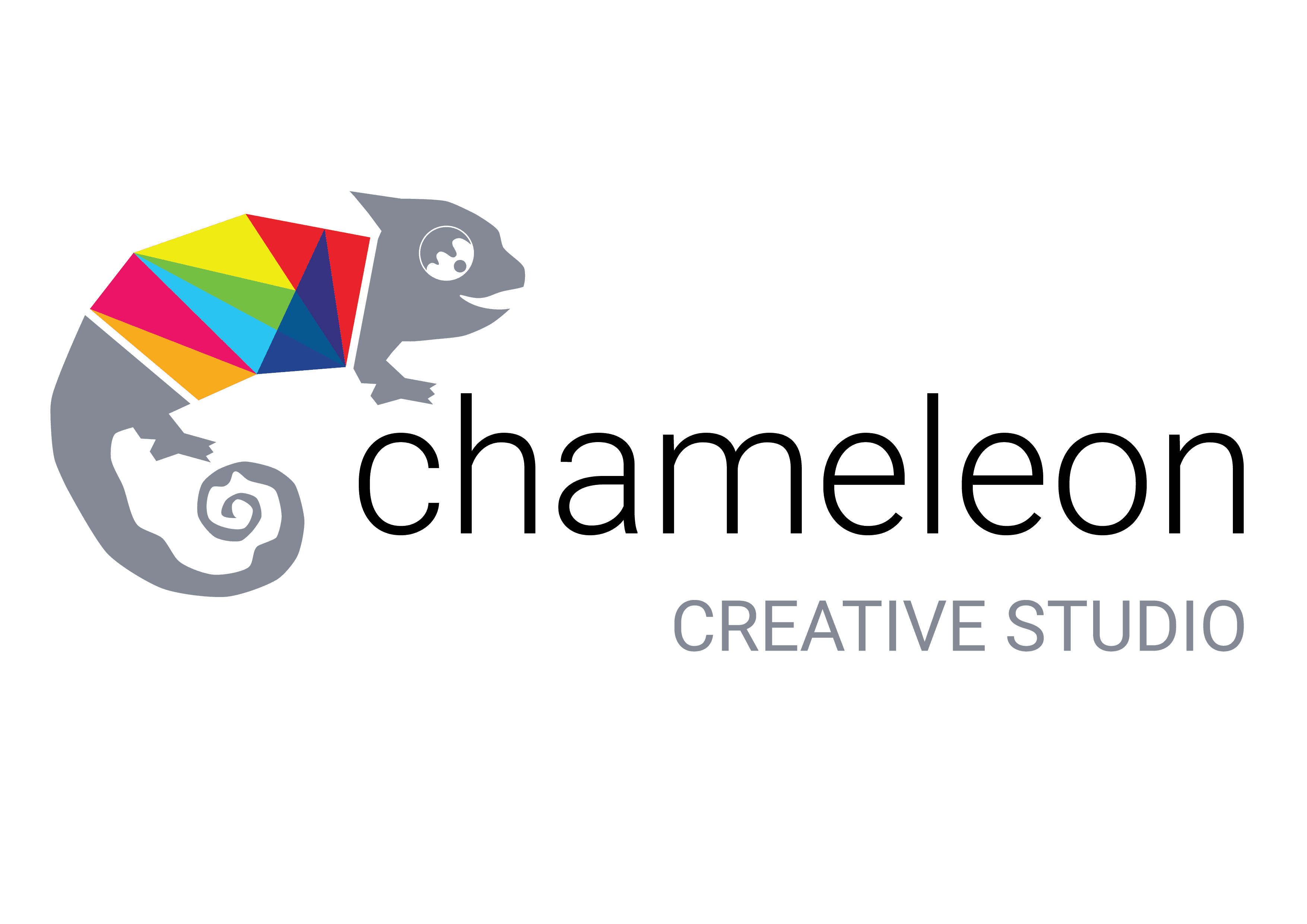 company's logo