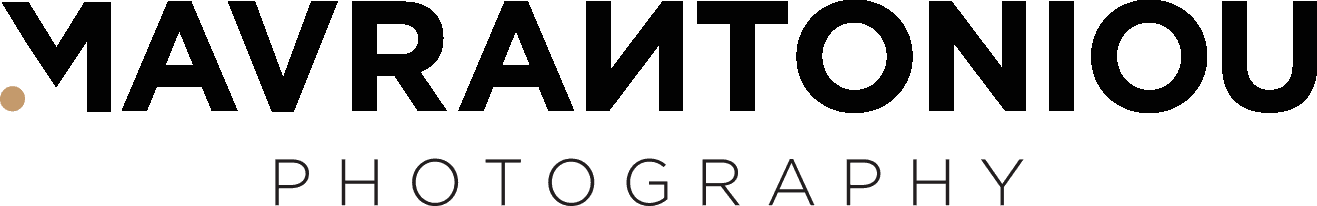 company's logo