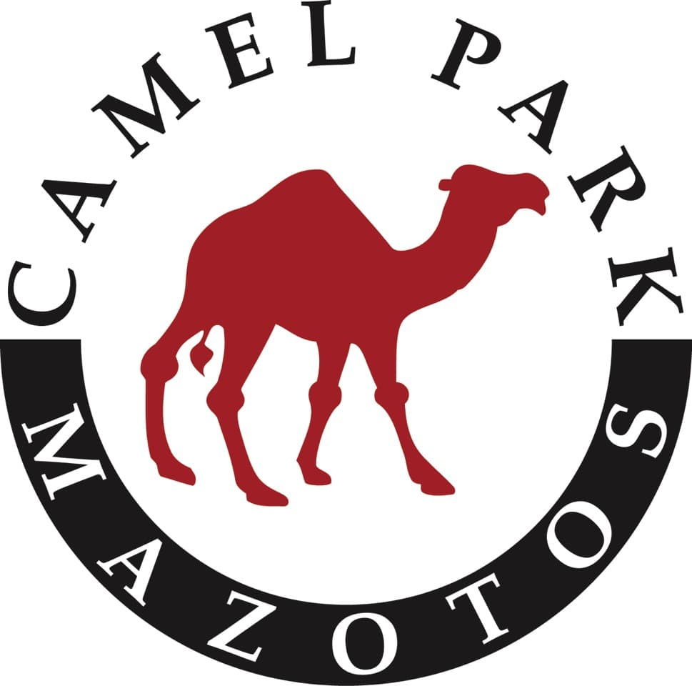 company's logo