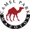 Company name